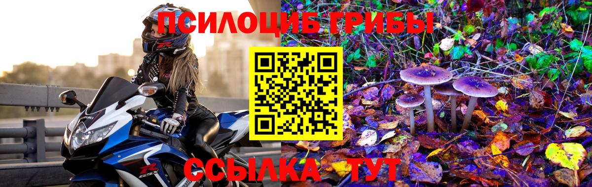Сергиев Посад  Галлюциногенные грибы мицелий  Вход с VPN 